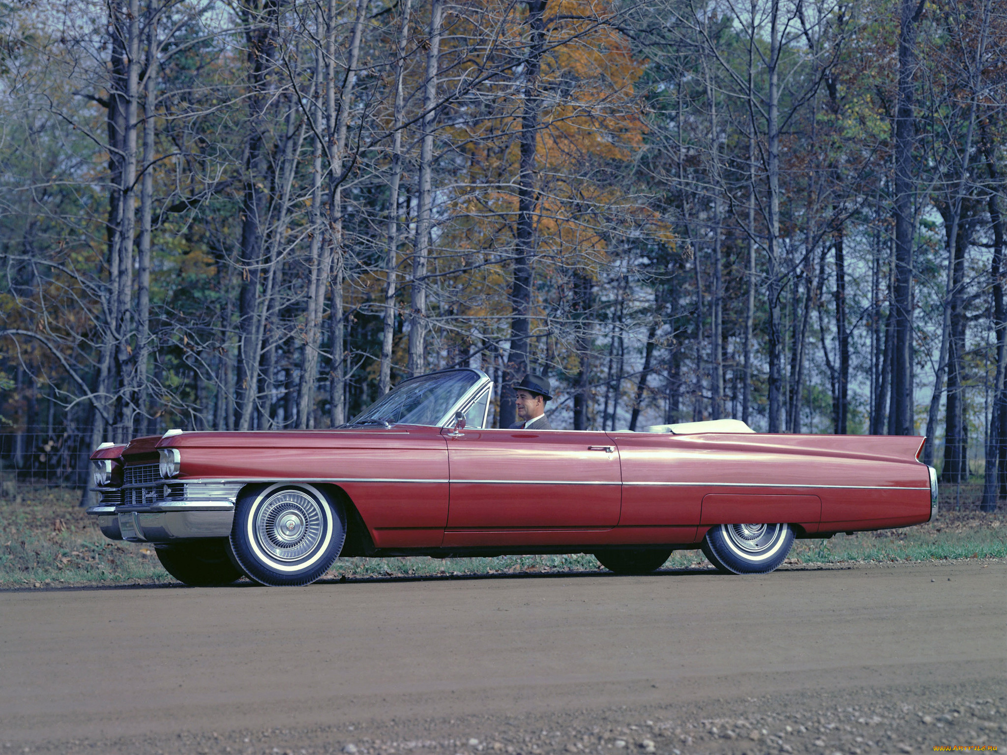 , cadillac, caddy
